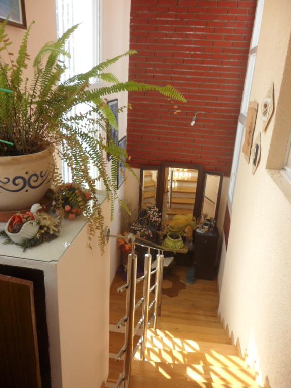 Apartments Ema Šibenik Eksteriør bilde